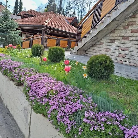 Monte Vista Apartment